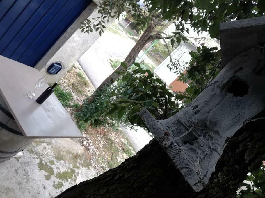 Apartment Dobric Koromačno Buitenkant foto